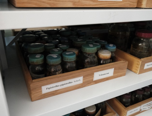 Стеллажи для хранения зоологических фондов музея